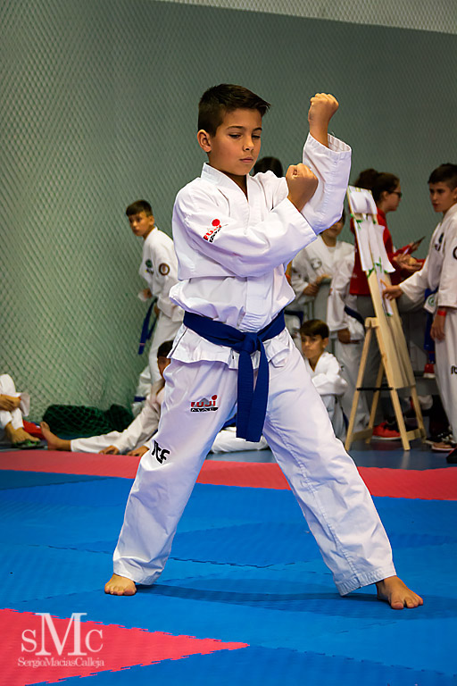 COPA SEUL, 2017  (234).JPG